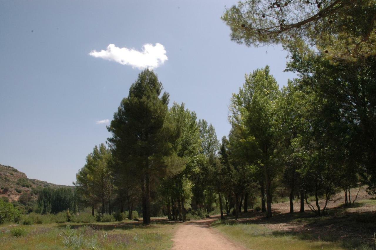 Casa Rural La Ossa Ossa de Montiel Dış mekan fotoğraf