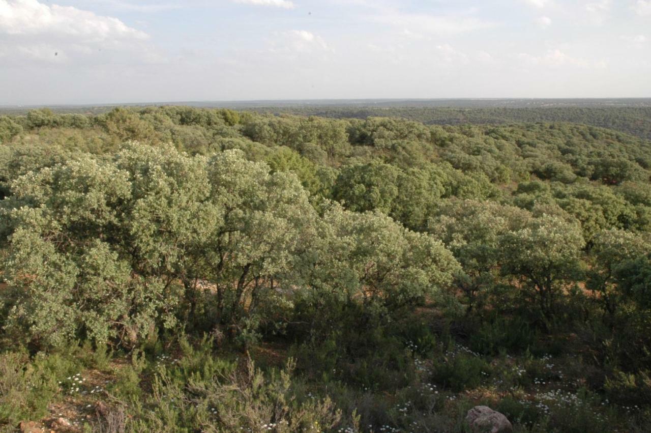 Casa Rural La Ossa Ossa de Montiel Dış mekan fotoğraf