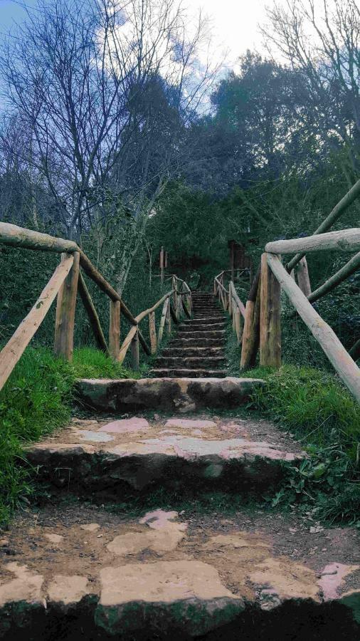 Casa Rural La Ossa Ossa de Montiel Dış mekan fotoğraf